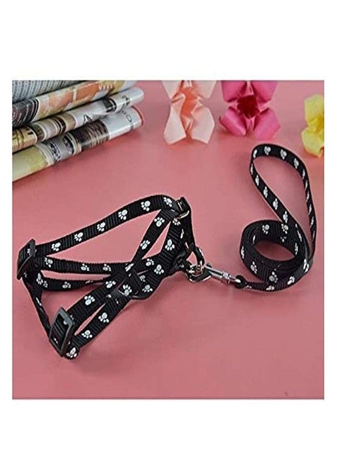 Pups&Pets 15 MM Puppy Paw Print Leash and Harness Set for Small & Medium Puppy | Dog Harness and Leash (Black) - Image 3